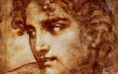 Цветок Адонис: прекрасный возлюбленный богини Венеры